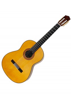 String Guitar