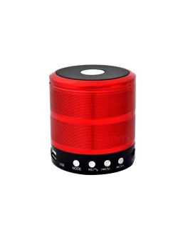 Mini Bluetooth Speaker with Aux, USB, SD Card, FM Support, WS887