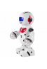 Bot Robot Pioneer 2 Multifunctional Electric Robot With 360° Rotate, Lights & Music, SG58646